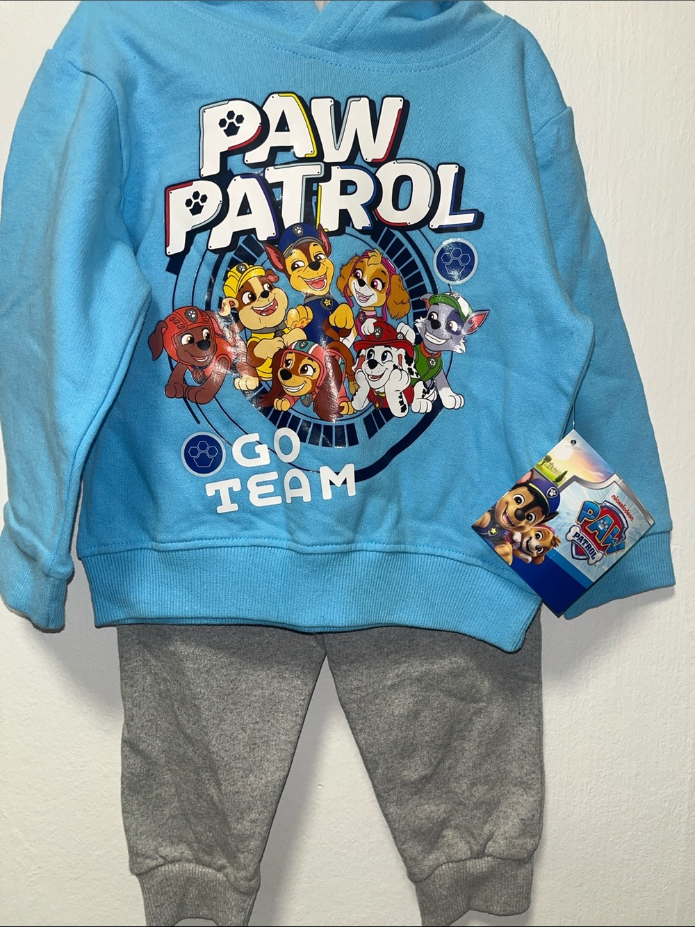 Paw Patrol Light Blue Hoodie and Gray Jogger Matching Set